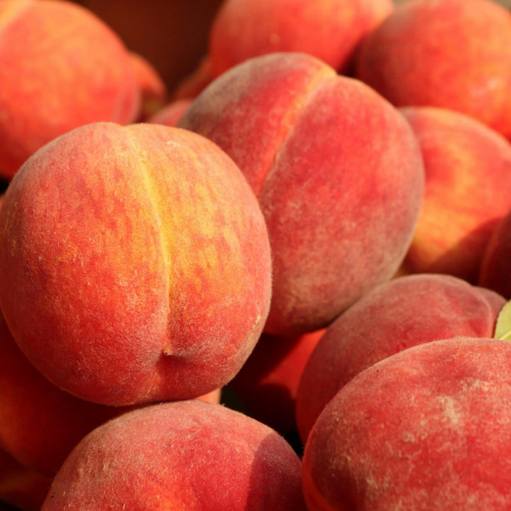 Brzoskwinie koszyk - 1kg