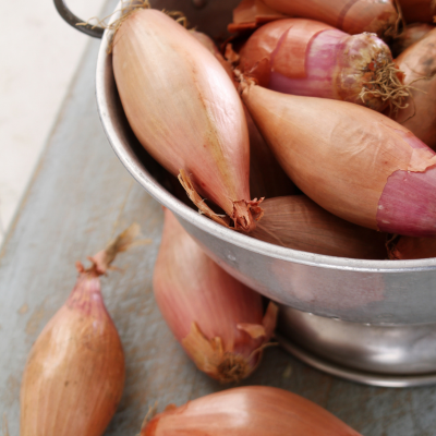 Cebula szalotka 250 g