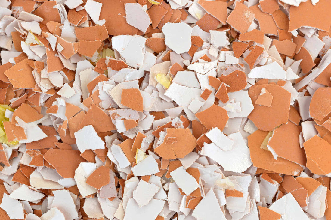 Skorupki jaj: Twój darmowy surowiec w duchu less waste