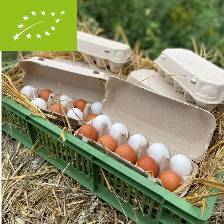 Jaja ekologiczne 10 szt.