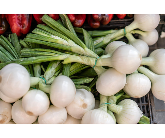 Cebula młoda pęczek 3 szt.