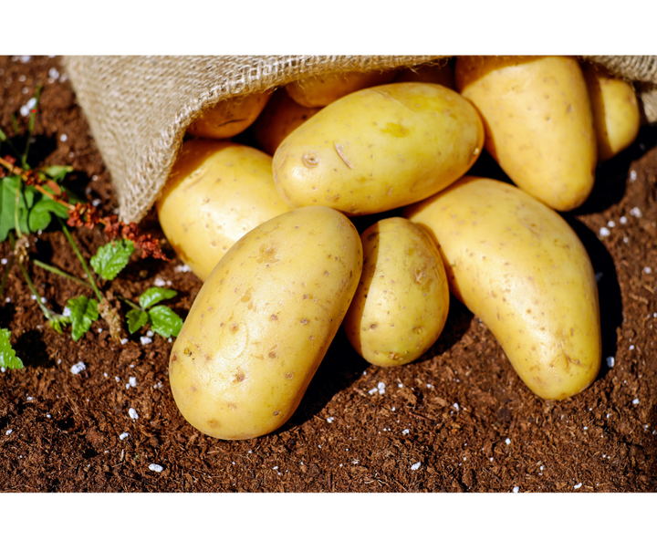 Ziemniaki młode białe EKO 3 kg