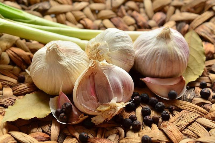 Czosnek duży EKO- 3 szt.