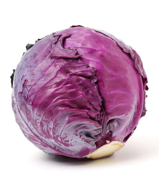Kapusta czerwona 1 szt. ok. 2 kg