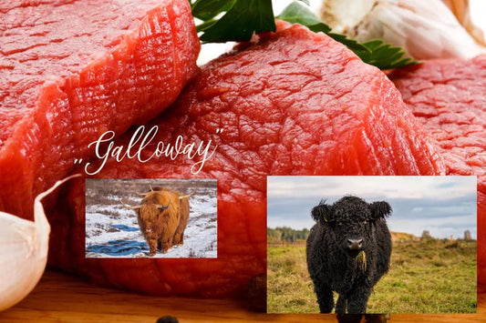 Krzyżowa wołowina Galloway" 1 kg