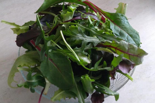 Mix Sałat Misticanza EKO 125 g