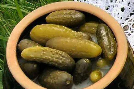 Ogórki kiszone Charsznickie EKO 500 g op.