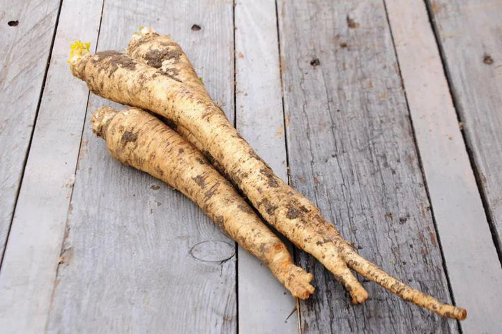 Pietruszka korzeń EKO 500 g