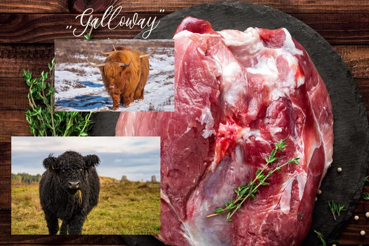 Pręga wołowa "Galloway" 500 g