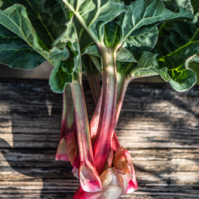 Rabarbar 1  kg