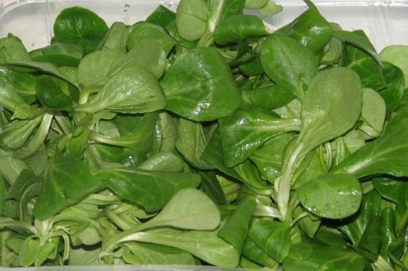 Roszponka EKO 125 g op.