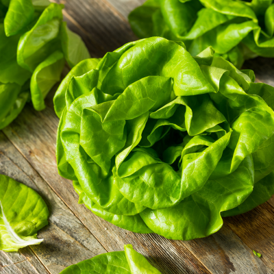 Sałata masłowa 1 szt.